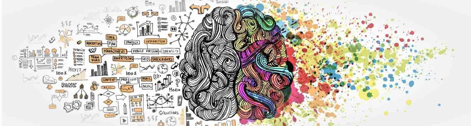 Brand management & development